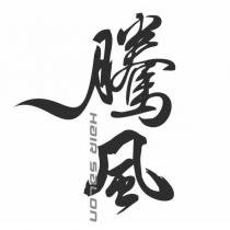 騰風 Hair Salon