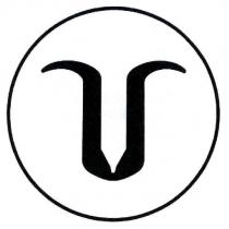 V 字設計圖