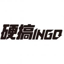 硬搞 INGO