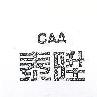 泰陞 CAA 