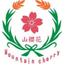 山櫻花 Mountain cherry 及圖