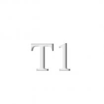 T1