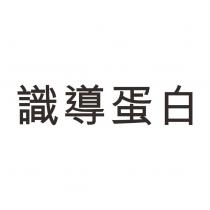 識導蛋白