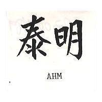 泰明 AHM 