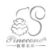 Pinecone 松果名床及圖