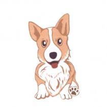 柯基犬圖