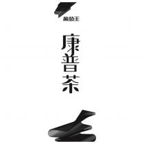 葡萄王康普茶設計圖