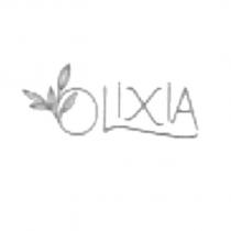 LXA 及圖