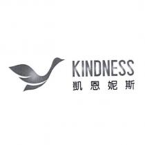 KINDNESS 凱恩妮斯及圖