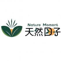 天然日子 Nature Moment 及圖
