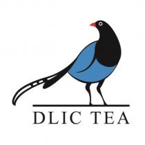 DLIC TEA 及圖