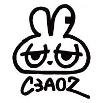 C3AO2 及圖