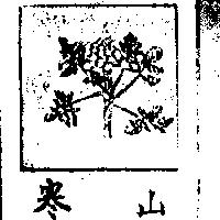寒山及圖 