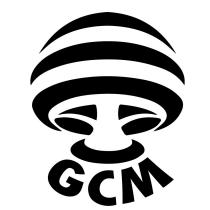 GCM 及圖