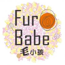 Fur Babe 毛小孩及圖