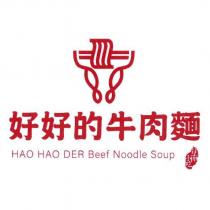 好好的牛肉麵 HAO HAO DER Beef Noodle Soup 台南小吃及圖