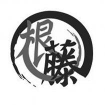 根藤設計圖