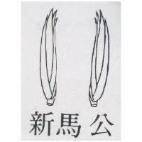 新馬公及圖