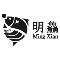 明鱻 Ming Xian 及圖