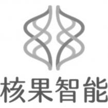 核果智能及圖