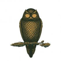 Belgian Owl colour logo