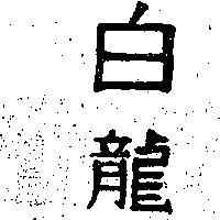 白龍