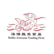 海博龍魚貿易 Haibo Arowana Trading Firm 及圖