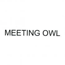 MEETING OWL