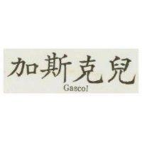 加斯克兒 GASCO1