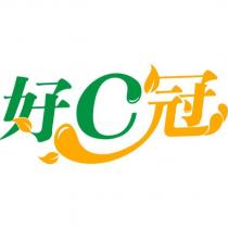 好 C 冠設計圖