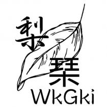 梨琹 WkGki 及圖