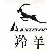 羚羊 ANTELOP 及圖 