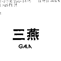 三燕 GALA 
