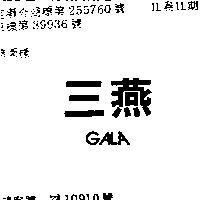 三燕 GALA 