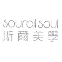 sourcil soul 斯爾美學