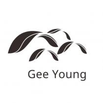 Gee Young 及圖