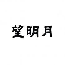 望明月