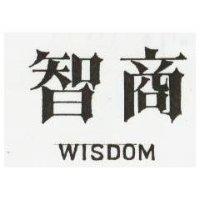 智商 WISDOM 