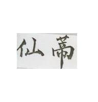 仙蒂