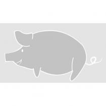 小鮮肉直賣網有限公司之標章
