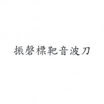 振磬標靶音波刀