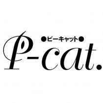 P-cat ピーキャット設計圖