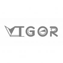 VTGOR 設計圖