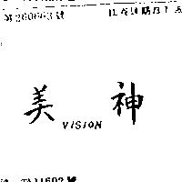 美神 VISION 
