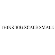 THINK BIG SCALE SMALL