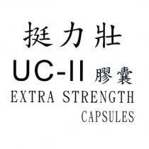 挺力壯 UC-II 膠囊 EXTRA STRENGTH CAPSULES