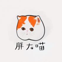胖大喵及圖