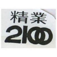 精業 2100 