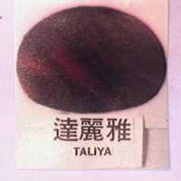 達麗雅及圖 TALIYA 