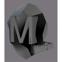 超級臉 MetaFace 及圖